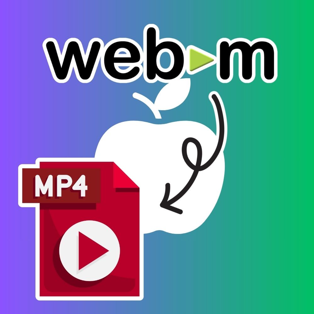 webm to mp4 vlc player apple macbook